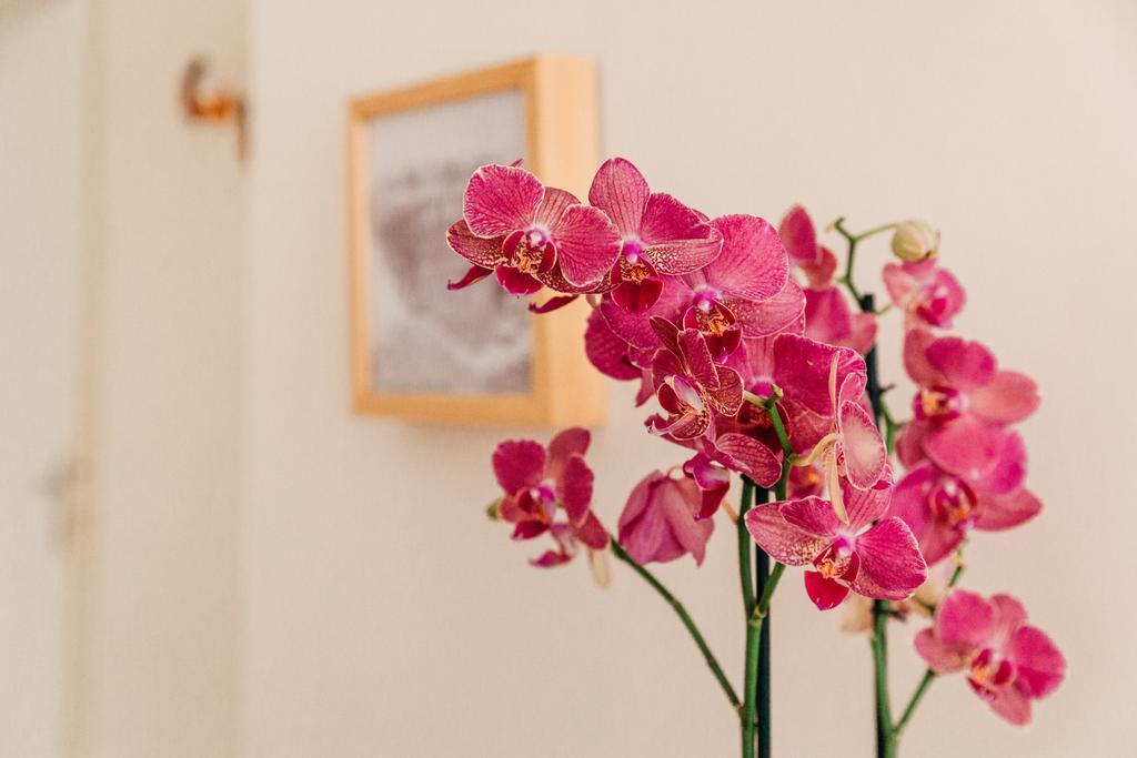 ローマ Adriano Augusto Bed & Breakfast 部屋 写真