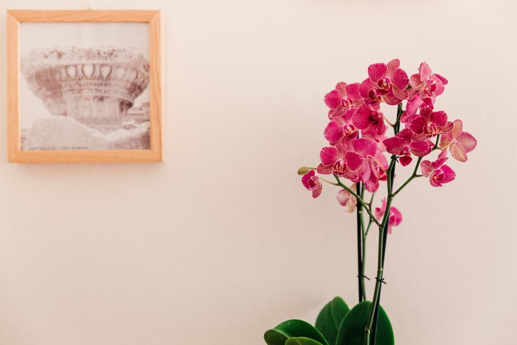 ローマ Adriano Augusto Bed & Breakfast 部屋 写真